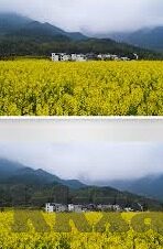 成人免费视频网站-平台的双刃剑，探索与界限