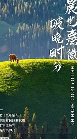大象传媒dxdztop回家-回家的路，大象传媒Dxdztop的温暖旅程