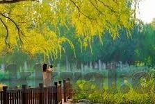 麻豆传媒bella-麻豆传媒Bella的演艺旅程，蜕变与蜕美