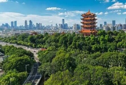 麻豆破解app直播-在光与影的交错间，探秘网络直播的虚拟现实