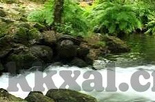 麻豆中文字幕视频-麻豆中文字幕视频，文化形态与现代媒介的交织