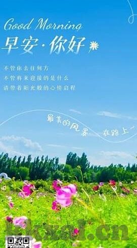 糖心vlog在线观看蜘蛛-探索糖心Vlog的奇妙世界，在线观看蜘蛛的乐趣
